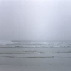 Nicholas Hughes