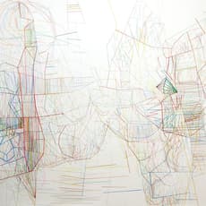 Anne Seidman