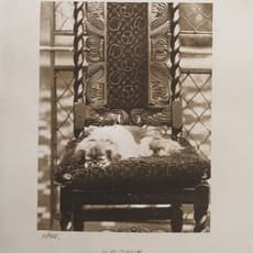 Danh Vō