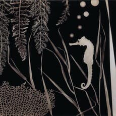 Dr. Mitchel A. Obremski