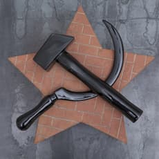 Yollotl Gómez Alvarado