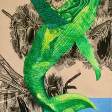 Nathan Budoff