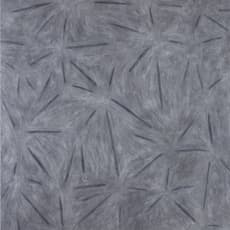 王董碩 Wang Tung-Shuo