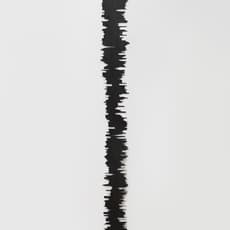 Tian Longyu 田龙玉