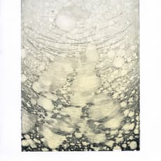 Jessica Lynn Merchant