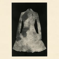 Aurore de La Morinerie