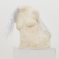 Hugo Servanin