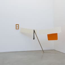 Joe Scanlan