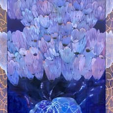 Rosalind Howdle