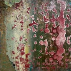 Marilyn Levin
