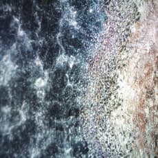 Ryotaro Muramatsu / NAKED