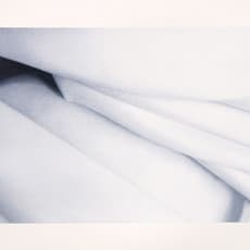 Alison Watt