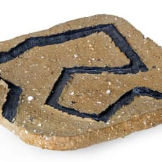 CARLOS RUNCIE TANAKA