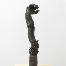 Giovanni Leonardo Bassan