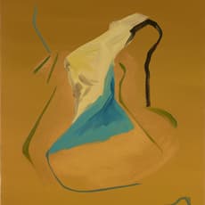 Damien Flood