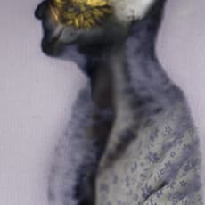 Linda Alterwitz