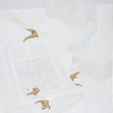 Wilma Martins