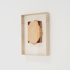 Miguel Ángel Molina