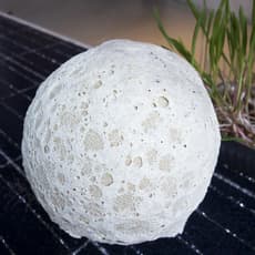 Lisa Egio and Elliot Kervyn