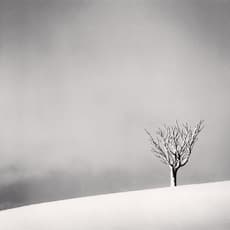 Michael Kenna