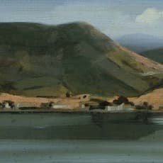 Martin Mooney