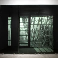 Veronika Kellndorfer