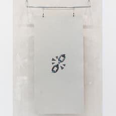 Rosanna Marie Pondorf