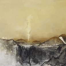 Su Xinping 苏新平