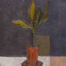 Tony Scrivener