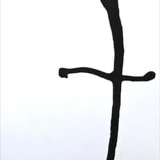 Anna Maria Maiolino, Marcas da Gota (1999)