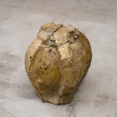 Anna Maria Maiolino, Untitled (2023)