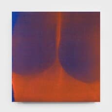 BREYER P-ORRIDGE / HEIST