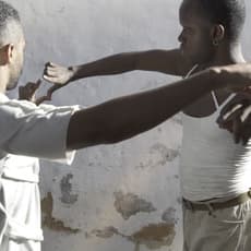 Davi Pontes & Wallace Ferreira