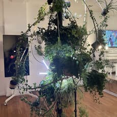 PLANT Group