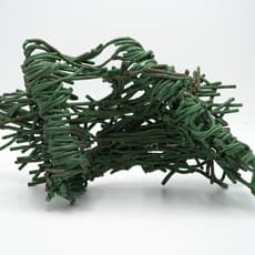 Amy Lemaire