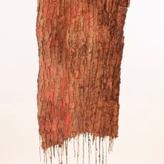 Ratna Gupta