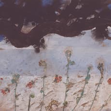 Christian de Laubadère