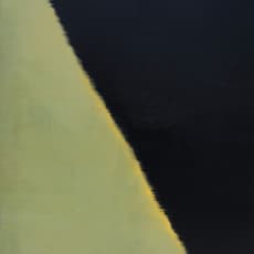 Jou Hsuan Wu