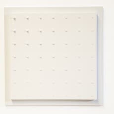 Shaopei 绍裴 Hong 洪