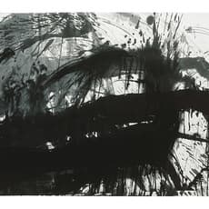 Chao Chung-hsiang 趙春翔