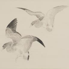 Gyokudō Kawai