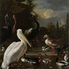 Melchior d'Hondecoeter