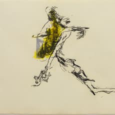 Shawki Youssef