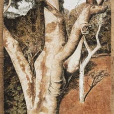 Zhu Yancun 祝延存