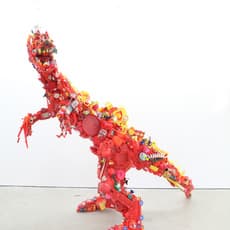 Hiroshi FUJI