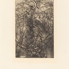 Rodolphe Bresdin
