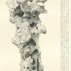 Liu Dan