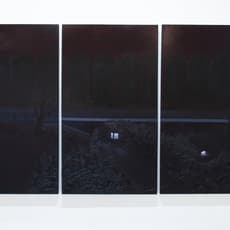 Bonny Wong Hiu Ching