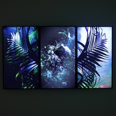 Jonathan Uliel Saldanha