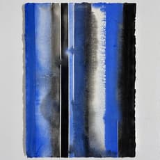 Nastasya F. Barashkova